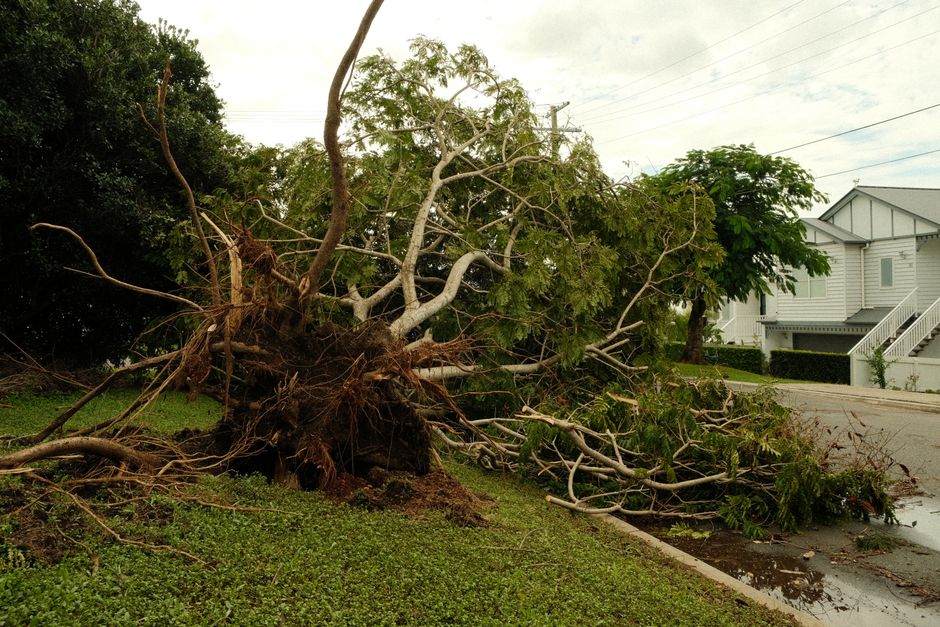 Emergency and Storm Damage Removal