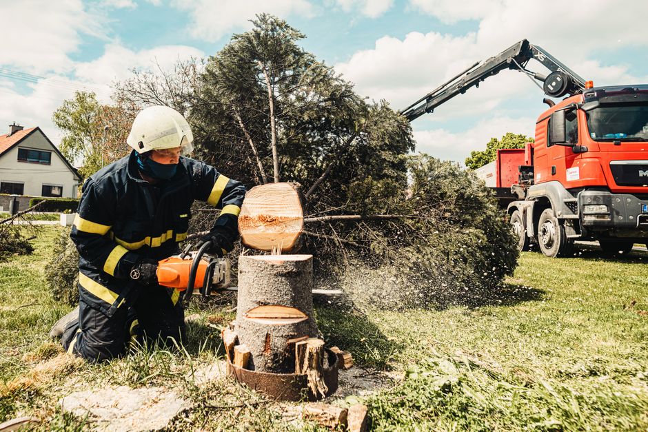 Stump Grinding and Removal